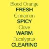 Plant Therapy Germ Fighter Carpet Refresher 16oz