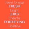 Plant Therapy Sweet Orange Body Oil 4oz