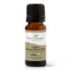Plant Therapy Organic Ginger Root CO2 10ml