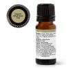 Plant Therapy Organic Ginger Root CO2 10ml